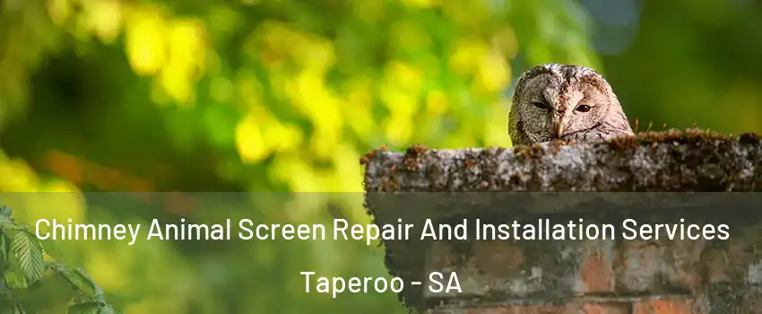 Chimney Animal Screen Repair And Installation Services Taperoo - SA