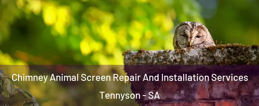 Chimney Animal Screen Repair And Installation Services Tennyson - SA