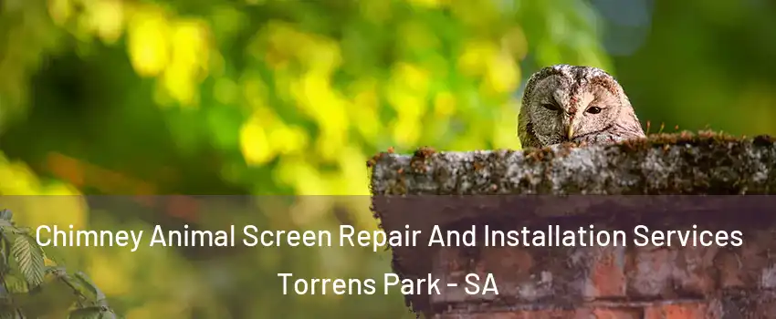 Chimney Animal Screen Repair And Installation Services Torrens Park - SA