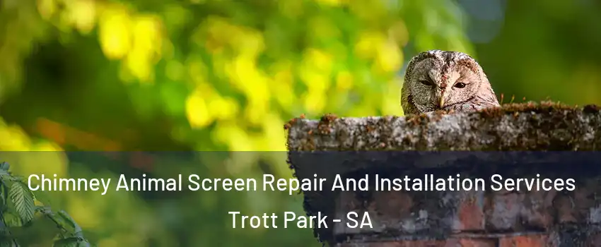 Chimney Animal Screen Repair And Installation Services Trott Park - SA