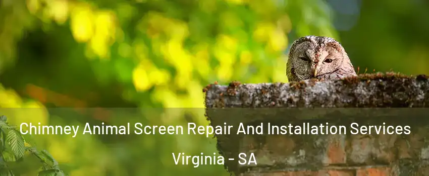 Chimney Animal Screen Repair And Installation Services Virginia - SA