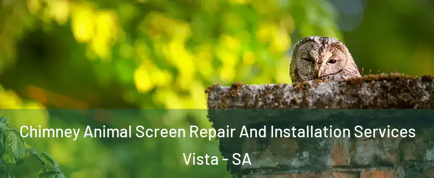 Chimney Animal Screen Repair And Installation Services Vista - SA