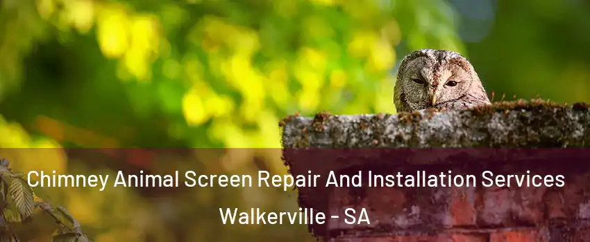 Chimney Animal Screen Repair And Installation Services Walkerville - SA