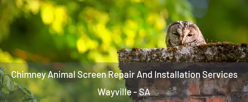 Chimney Animal Screen Repair And Installation Services Wayville - SA