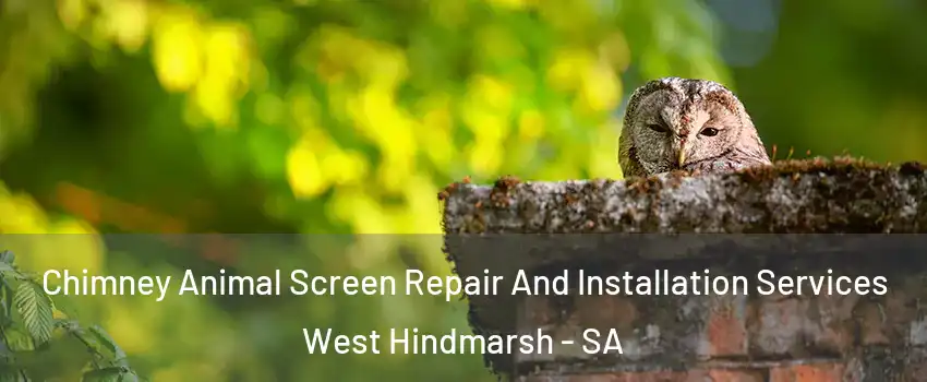 Chimney Animal Screen Repair And Installation Services West Hindmarsh - SA