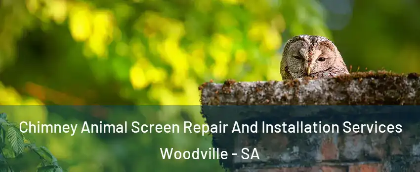 Chimney Animal Screen Repair And Installation Services Woodville - SA