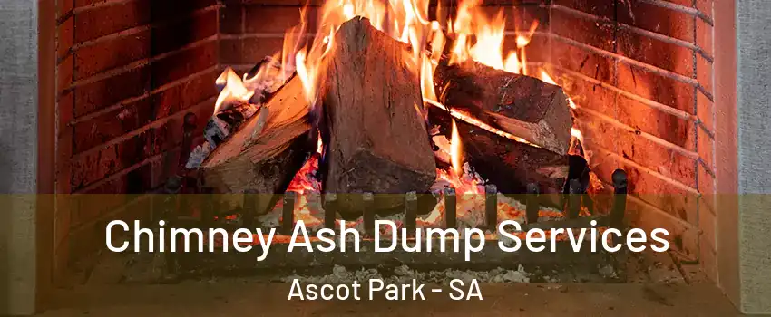  Chimney Ash Dump Services Ascot Park - SA
