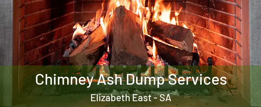 Chimney Ash Dump Services Elizabeth East - SA
