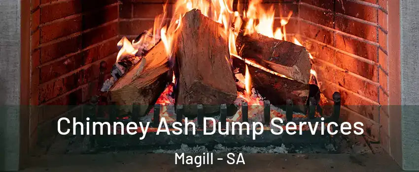 Chimney Ash Dump Services Magill - SA