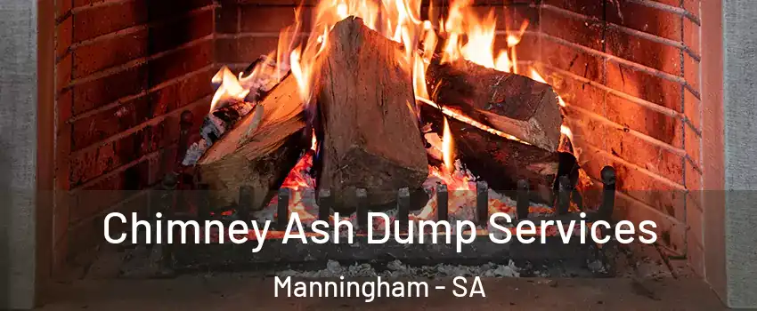  Chimney Ash Dump Services Manningham - SA