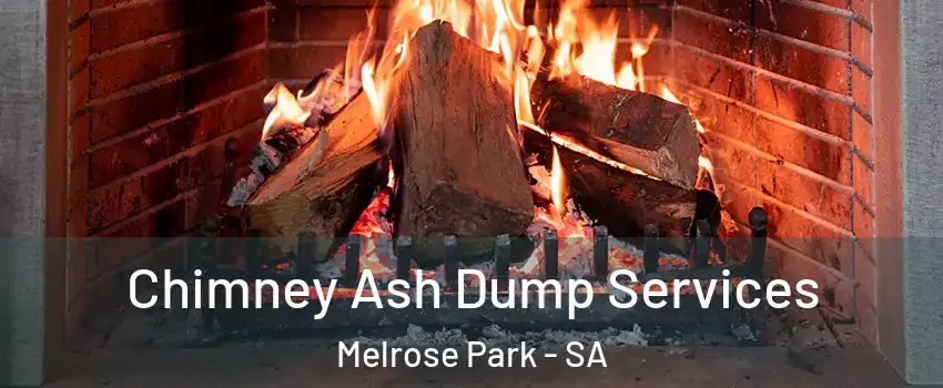 Chimney Ash Dump Services Melrose Park - SA