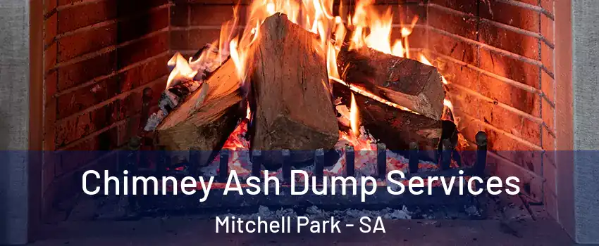 Chimney Ash Dump Services Mitchell Park - SA