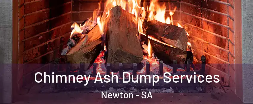 Chimney Ash Dump Services Newton - SA