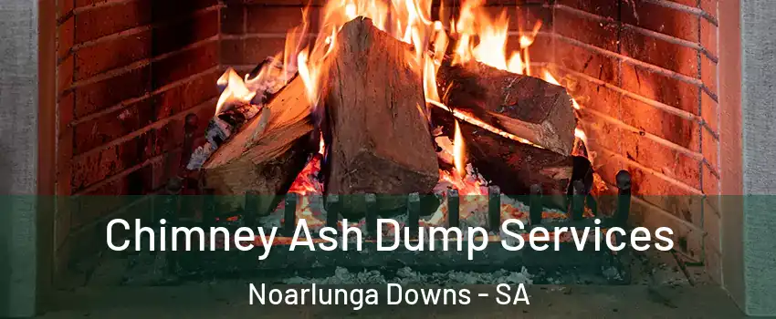 Chimney Ash Dump Services Noarlunga Downs - SA