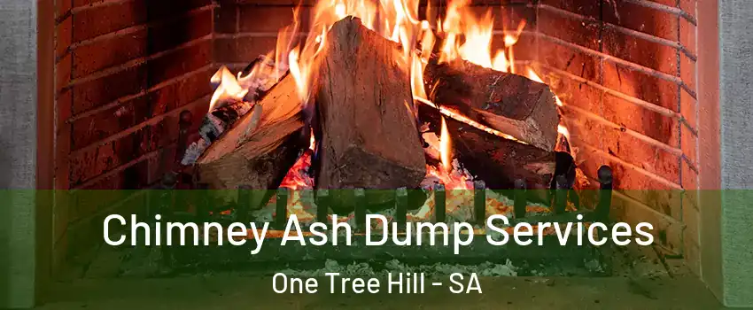 Chimney Ash Dump Services One Tree Hill - SA