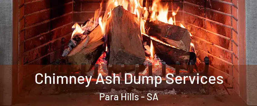 Chimney Ash Dump Services Para Hills - SA