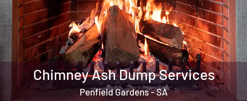Chimney Ash Dump Services Penfield Gardens - SA