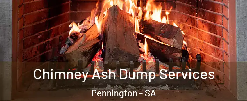 Chimney Ash Dump Services Pennington - SA