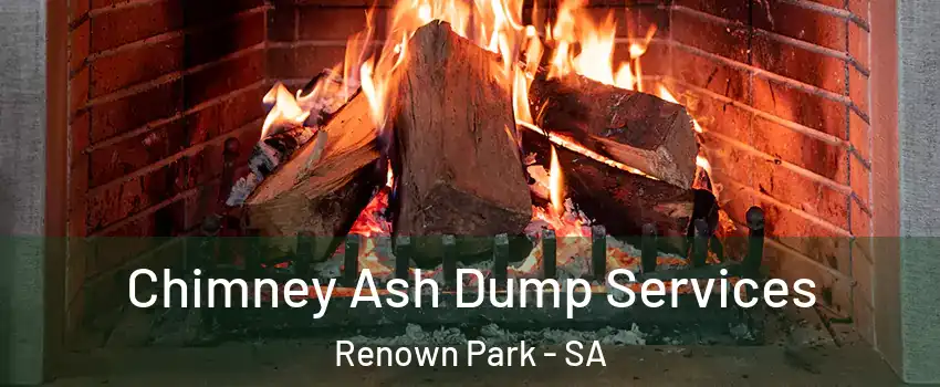 Chimney Ash Dump Services Renown Park - SA