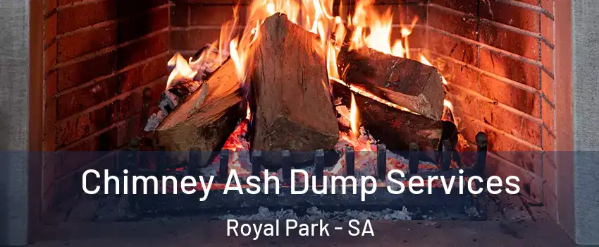 Chimney Ash Dump Services Royal Park - SA