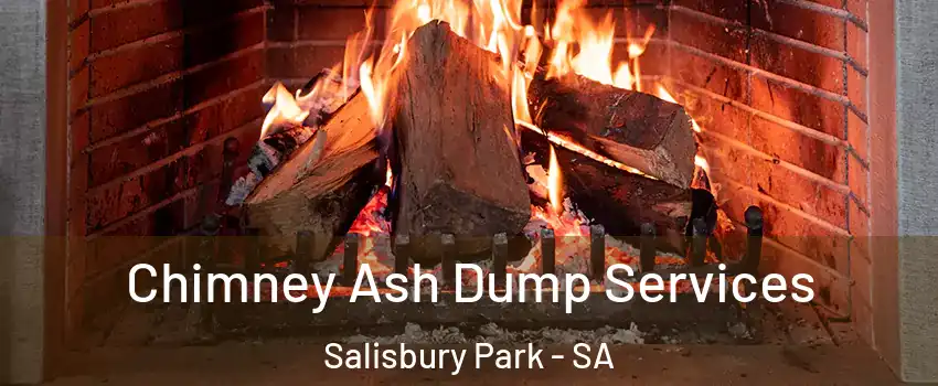 Chimney Ash Dump Services Salisbury Park - SA