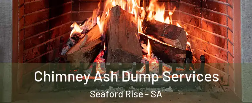 Chimney Ash Dump Services Seaford Rise - SA