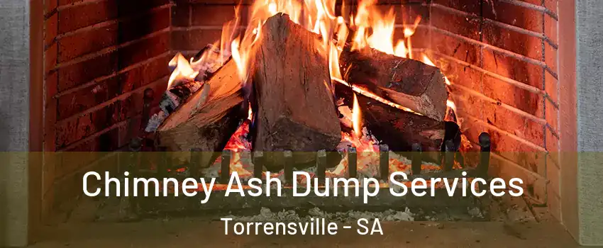 Chimney Ash Dump Services Torrensville - SA