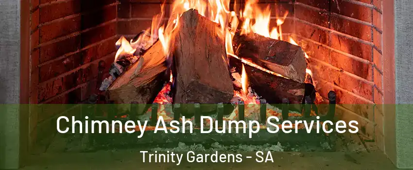 Chimney Ash Dump Services Trinity Gardens - SA