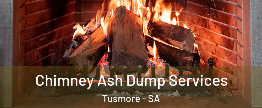 Chimney Ash Dump Services Tusmore - SA