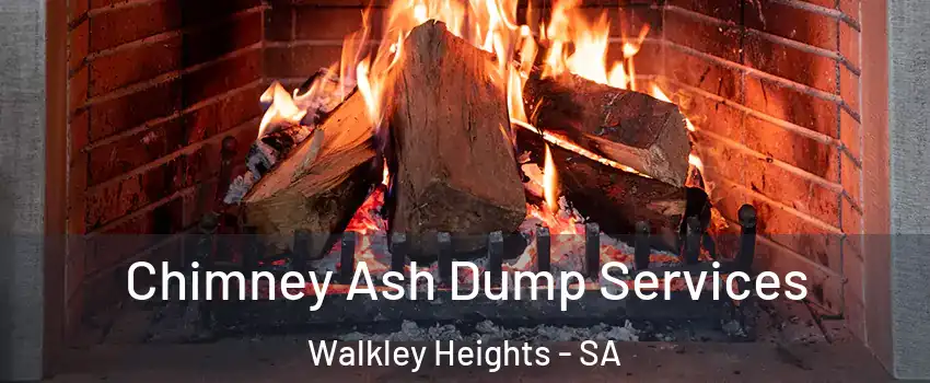 Chimney Ash Dump Services Walkley Heights - SA