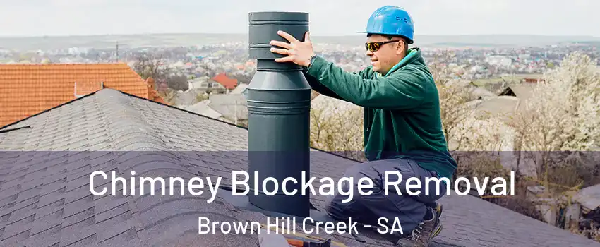 Chimney Blockage Removal Brown Hill Creek - SA