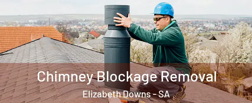  Chimney Blockage Removal Elizabeth Downs - SA
