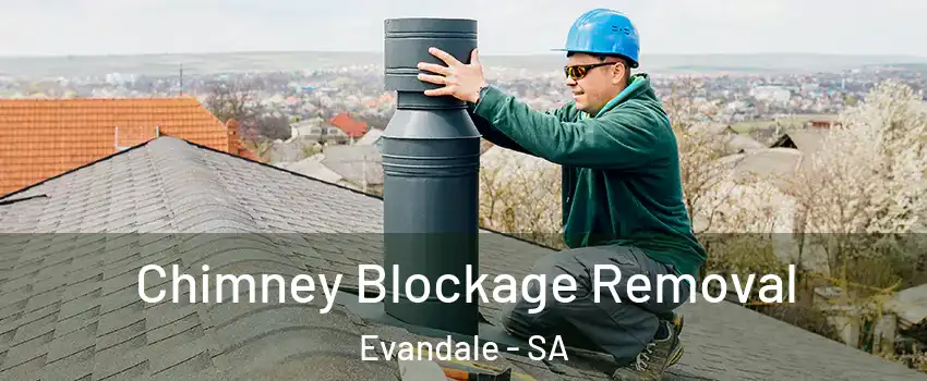  Chimney Blockage Removal Evandale - SA