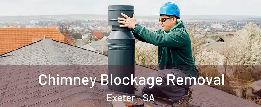  Chimney Blockage Removal Exeter - SA