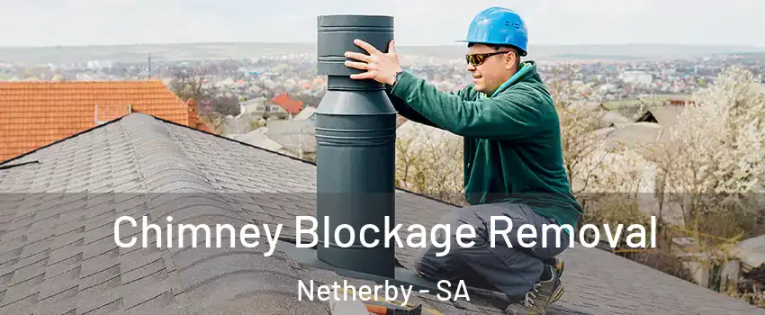 Chimney Blockage Removal Netherby - SA