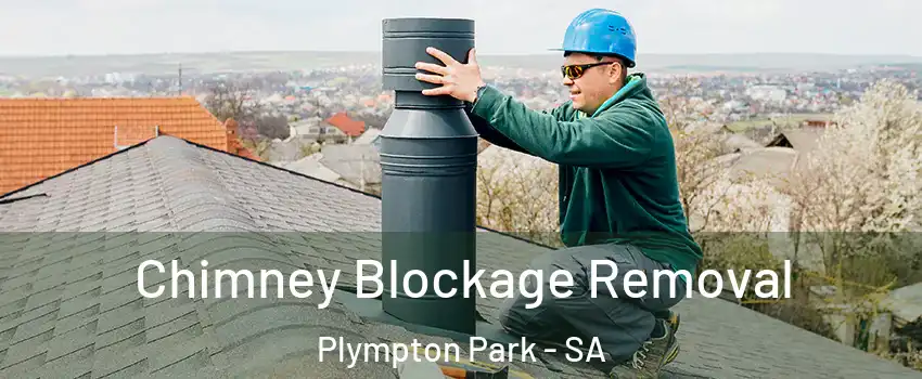 Chimney Blockage Removal Plympton Park - SA
