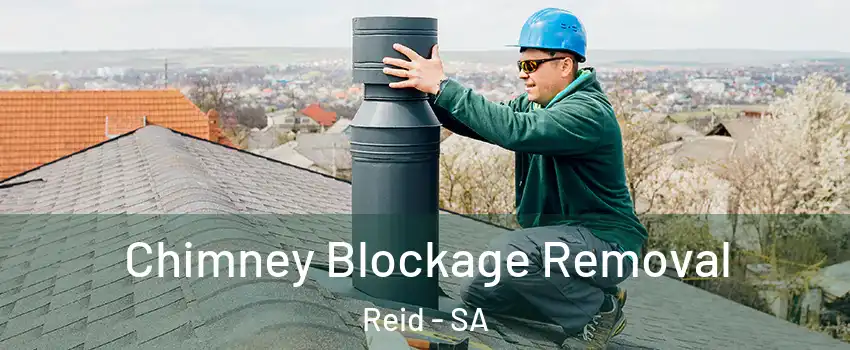 Chimney Blockage Removal Reid - SA