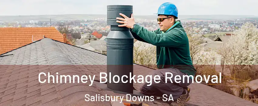 Chimney Blockage Removal Salisbury Downs - SA