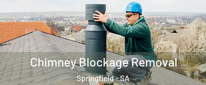 Chimney Blockage Removal Springfield - SA