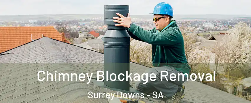 Chimney Blockage Removal Surrey Downs - SA