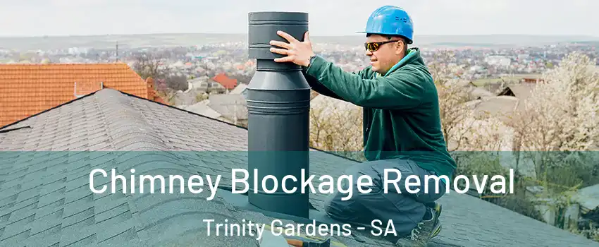 Chimney Blockage Removal Trinity Gardens - SA