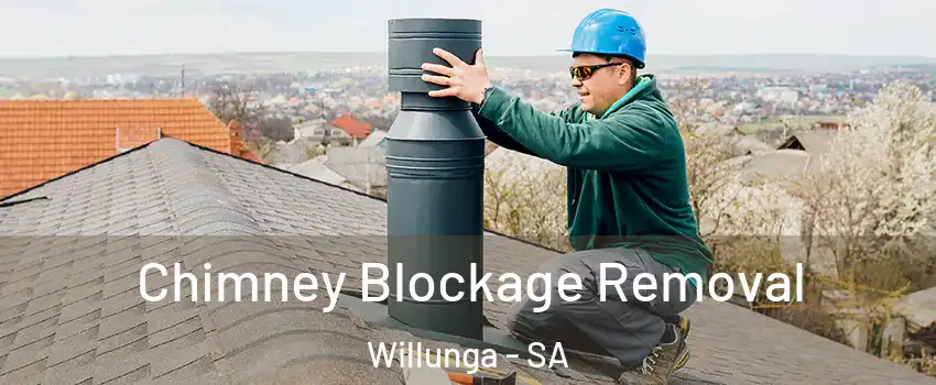 Chimney Blockage Removal Willunga - SA
