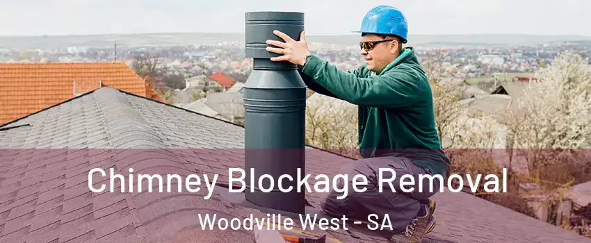 Chimney Blockage Removal Woodville West - SA