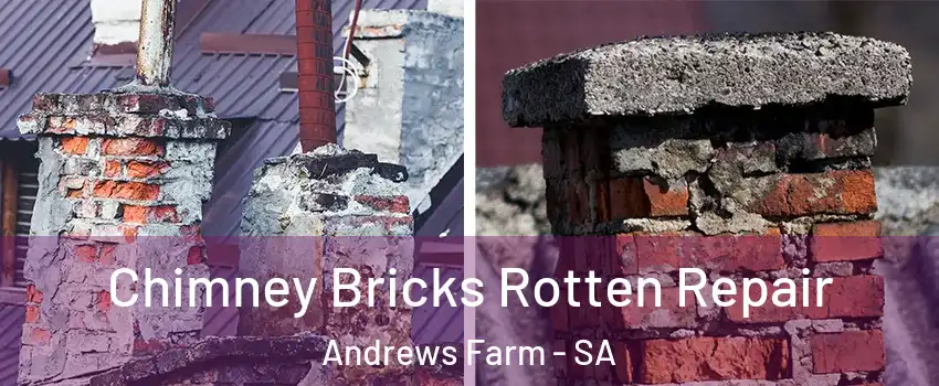  Chimney Bricks Rotten Repair Andrews Farm - SA