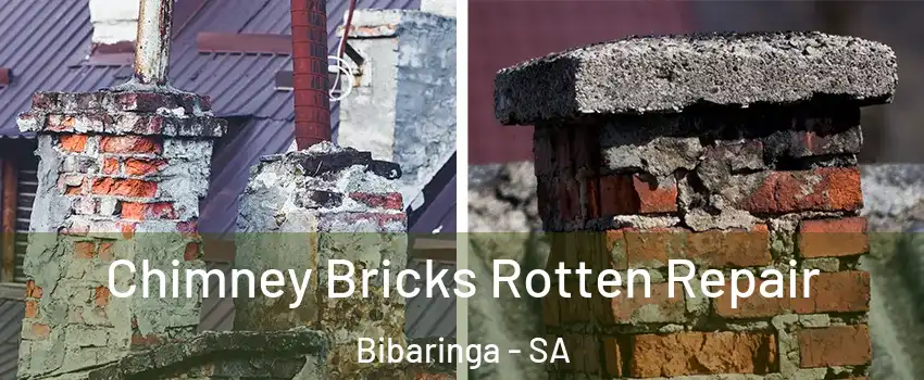 Chimney Bricks Rotten Repair Bibaringa - SA
