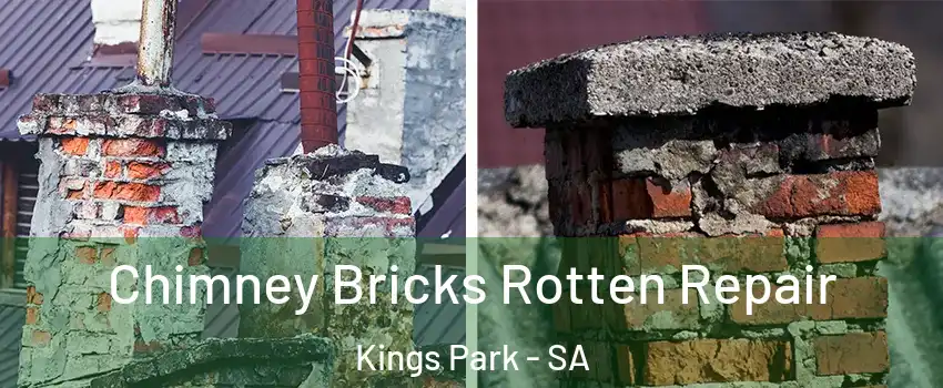 Chimney Bricks Rotten Repair Kings Park - SA