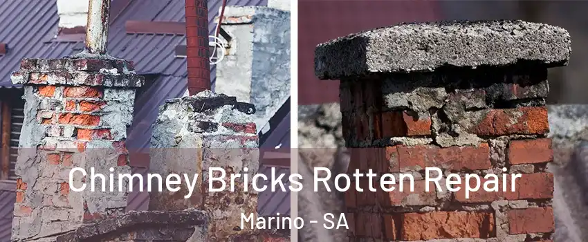 Chimney Bricks Rotten Repair Marino - SA