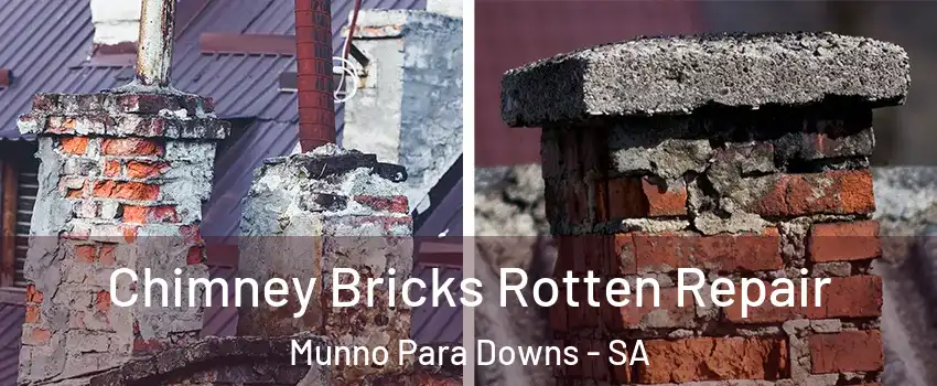 Chimney Bricks Rotten Repair Munno Para Downs - SA