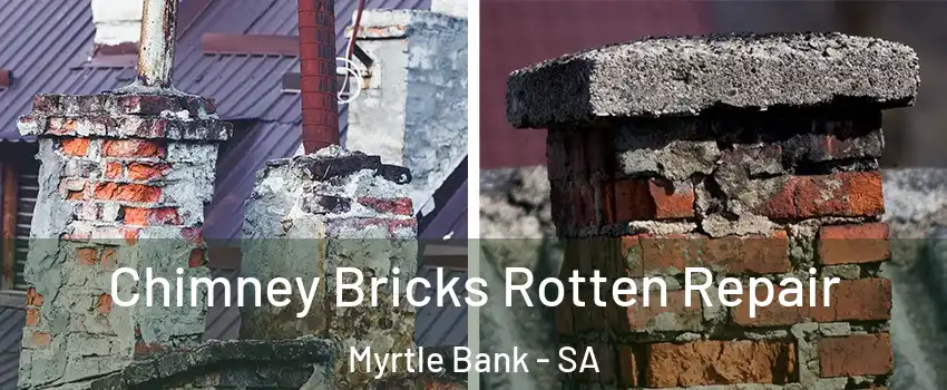Chimney Bricks Rotten Repair Myrtle Bank - SA
