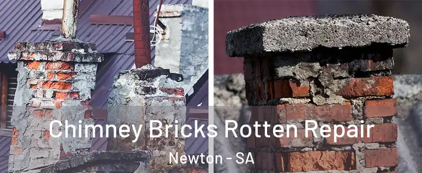 Chimney Bricks Rotten Repair Newton - SA